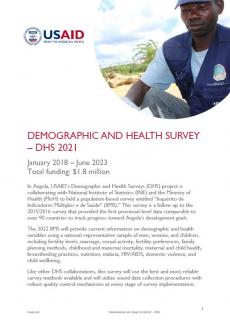 Demographic and Health Surveys (DHS) file icon (PDF - 185K)