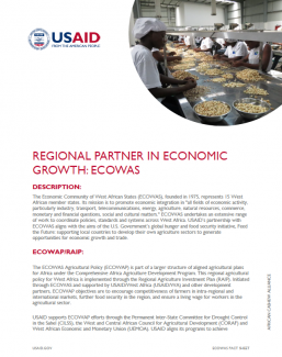 Regional Partner in Economic Growth: ECOWAS file icon PDF - 215K)