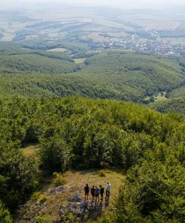 A group of people stands on a mountain overlooking an agricultural landscape