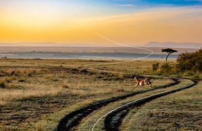 An antelope crosses the Kenyan savanna at dusk.