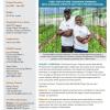 Feed the Future Imarisha Sekta Binafsi (Private Sector Strengthening) Factsheet