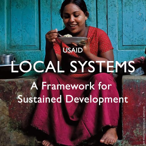 Local Systems: A Framework for Supporting Sustained Development