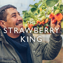 The Strawberry King - Click to read his story. Photo: Bobby Neptune, USAID