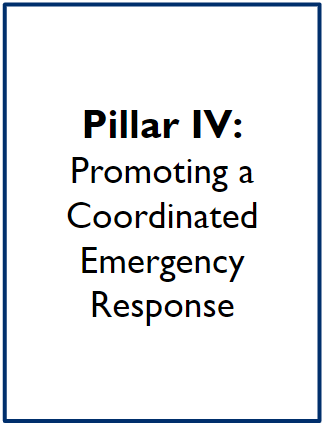 Pillar IV: Promoting a coordinated emergency response
