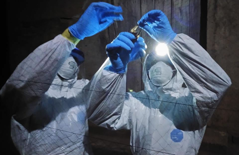 Researchers research Ebola. Photo credit: Jaber Belkhiria/UC Davis